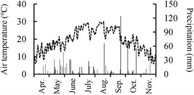 Composition of Organic Carbon-Based Compounds in the Stem Wood of Quercus mongolica Seedlings Grown Under Elevated CO2 and/or O3 Concentrations